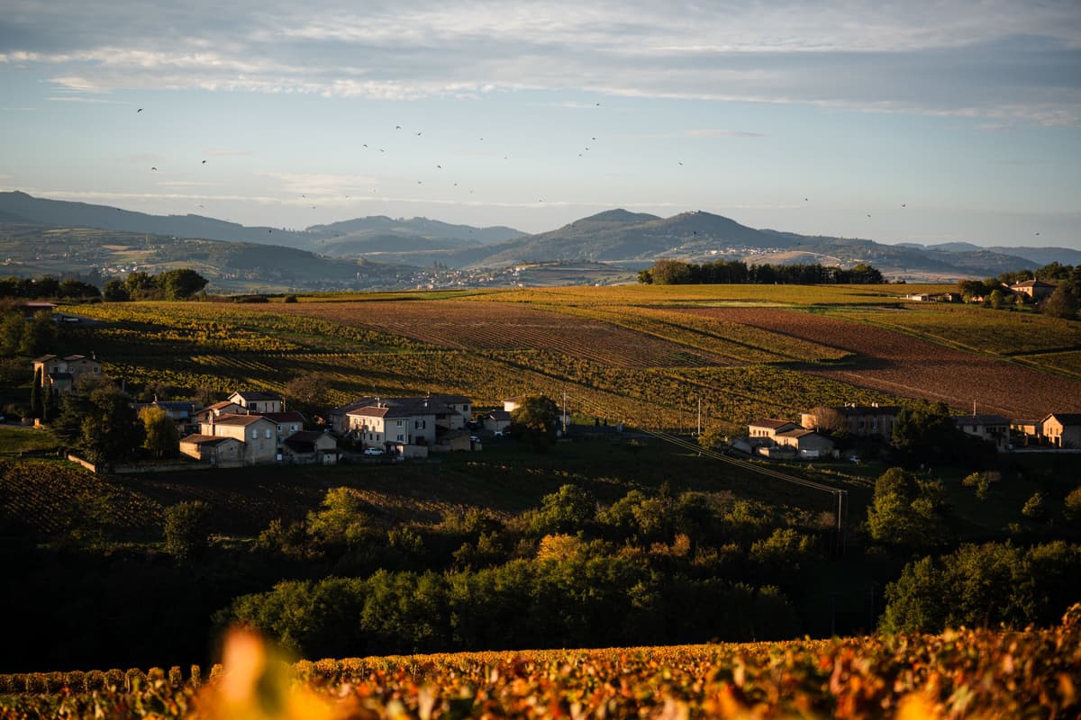 Les plus beaux lieux de mariage dans le Beaujolais