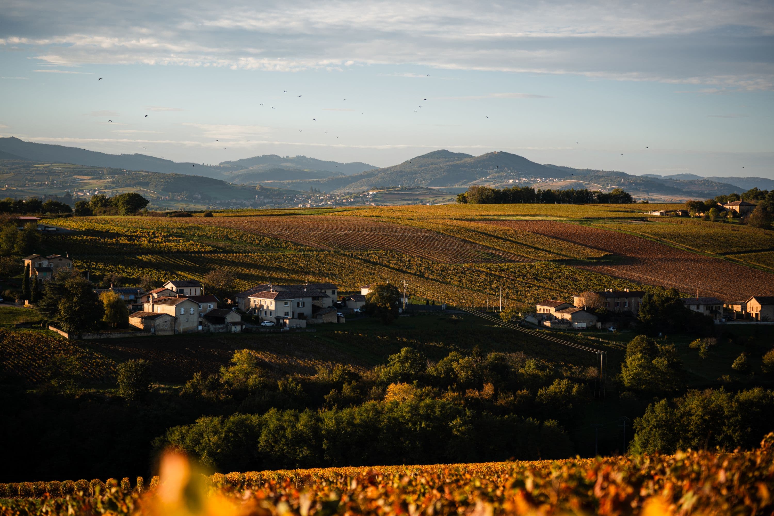 Les plus beaux lieux de mariage dans le Beaujolais
